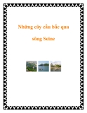 Những cây cầu bắc qua sông Seine