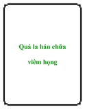 Quả la hán chữa viêm họng