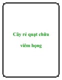 Cây rẻ quạt chữa viêm họng