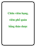 Chữa viêm họng, viêm phế quản bằng thảo dược