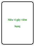 Siêu vi gây viêm họng