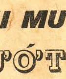 Trời Mưa Ướt Áo