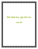 Bắt bệnh hay gặp khi cho con bú