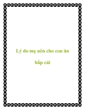 Lý do mẹ nên cho con ăn bắp cải