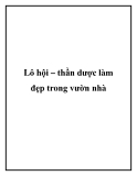 Lô hội – thần dược làm đẹp trong vườn nhà