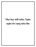 Mẹo hay mỗi tuần: Ngăn ngừa tóc rụng mùa thu