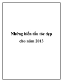 Những biến tấu tóc đẹp cho năm 2013