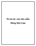 Xì-tai tóc của siêu mẫu Hùng Đại Lâm