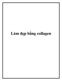 Làm đẹp bằng collagen