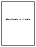 Biến tấu tóc tết đầu thu