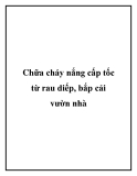 Chữa cháy nắng cấp tốc từ rau diếp, bắp cải vườn nhà