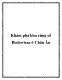 Khám phá khu rừng cổ Bialowieza ở Châu Âu