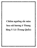 Chiêm ngưỡng sắc màu hoa oải hương ở Thung lũng Y Lê (Trung Quốc)