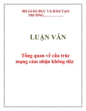 LUẬN VĂN: Tổng quan về cấu trúc mạng cảm nhận không dây