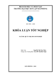 LUẬN VĂN:BIỆN PHÁP NÂNG CAO HIỆU QUẢ SỬ DỤNG NGUỒN NHÂN LỰC TẠI CÔNG TY CỔ PHẦN HÓA CHẤT VẬT LIỆU ĐIỆN HẢI PHÕNG