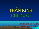 THẦN KINH CHI DƯỚI