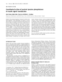 Báo cáo Y học:  Coordinated action of protein tyrosine phosphatases in insulin signal transduction