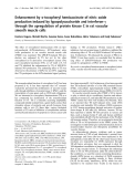 Báo cáo Y học:  Enhancement by a-tocopheryl hemisuccinate of nitric oxide production induced by lypopolysaccharide and interferon-c through the upregulation of protein kinase C in rat vascular smooth muscle cells