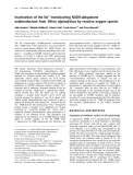Báo cáo Y học:  Inactivation of the Na+-translocating NADH:ubiquinone oxidoreductase from Vibrio alginolyticus by reactive oxygen species