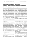 Báo cáo Y học: The mitochondrial-lysosomal axis theory of aging Accumulation of damaged mitochondria as a result of imperfect autophagocytosis