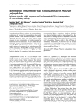 Báo cáo Y học: Identiﬁcation of mammalian-type transglutaminase in Physarum polycephalum Evidence from the cDNA sequence and involvement of GTP in the regulation of transamidating activity