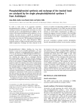 Báo cáo Y học:  Phosphatidylinositol synthesis and exchange of the inositol head are catalysed by the single phosphatidylinositol synthase 1 from Arabidopsis