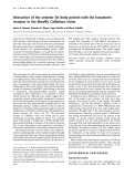 Báo cáo Y học: Interaction of the anterior fat body protein with the hexamerin receptor in the blowﬂy Calliphora vicina