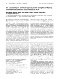 Báo cáo Y học:  The Saccharomyces cerevisiae type 2A protein phosphatase Pph22p is biochemically different from mammalian PP2A