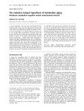 Báo cáo Y học:  The reductive hotspot hypothesis of mammalian aging Membrane metabolism magniﬁes mutant mitochondrial mischief