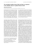 Báo cáo Y học:  The unorthodox histidine kinases BvgS and EvgS are responsive to the oxidation status of a quinone electron carrier