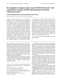 Báo cáo Y học: Re-oxygenation of hypoxic simian virus 40 (SV40)-infected CV1 cells causes distinct changes of SV40 minichromosome-associated replication proteins