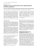 Báo cáo Y học: Regulation of stress-activated protein kinase signaling pathways by protein phosphatases