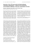 Báo cáo Y học: Interaction of the GTS1 gene product with glyceraldehyde3-phosphate dehydrogenase 1 required for the maintenance of the metabolic oscillations of the yeast Saccharomyces cerevisiae