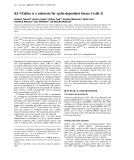 Báo cáo Y học: ik3-1/Cables is a substrate for cyclin-dependent kinase 3 (cdk 3)