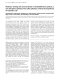 Báo cáo Y học: Molecular cloning and characterization of isomultiﬂorenol synthase, a new triterpene synthase from Luffa cylindrica, involved in biosynthesis of bryonolic acid