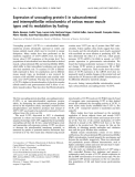 Báo cáo Y học: Expression of uncoupling protein-3 in subsarcolemmal and intermyoﬁbrillar mitochondria of various mouse muscle types and its modulation by fasting