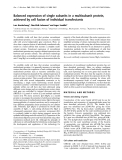 Báo cáo Y học:  Balanced expression of single subunits in a multisubunit protein, achieved by cell fusion of individual transfectants