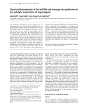 Báo cáo Y học: Structural determinants of the half-life and cleavage site preference in the autolytic inactivation of chymotrypsin