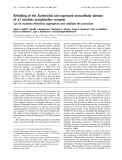 Báo cáo Y học:  Refolding of the Escherichia coli expressed extracellular domain of a7 nicotinic acetylcholine receptor Cys116 mutation diminishes aggregation and stabilizes the b structure