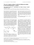 Báo cáo Y học: The role of arginine residues in substrate binding and catalysis by deacetoxycephalosporin C synthase