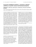 Báo cáo Y học: The porcine trophoblastic interferon-c, secreted by a polarized epithelium, has speciﬁc structural and biochemical properties