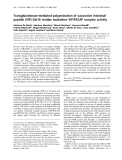 Báo cáo Y học:  Transglutaminase-mediated polyamination of vasoactive intestinal peptide (VIP) Gln16 residue modulates VIP/PACAP receptor activity