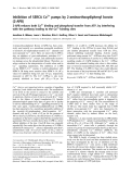 Báo cáo Y học: Inhibition of SERCA Ca2+ pumps by 2-aminoethoxydiphenyl borate (2-APB) 2-APB reduces both Ca2+ binding and phosphoryl transfer from ATP, by interfering with the pathway leading to the Ca2+-binding sites