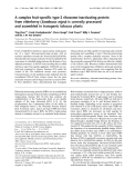 Báo cáo Y học: A complex fruit-speciﬁc type-2 ribosome-inactivating protein from elderberry (Sambucus nigra) is correctly processed and assembled in transgenic tobacco plants