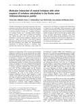 Báo cáo Y học: Molecular interaction of neutral trehalase with other enzymes of trehalose metabolism in the ﬁssion yeast Schizosaccharomyces pombe