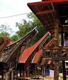 Phong tục tang ma ở bộ tộc Toraja