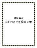 Báo cáo lập trình web bằng CMS