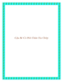 Cậu Bé Có Đôi Chân Tia Chớp