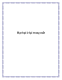 Hạt bụi ở lại trong mắt