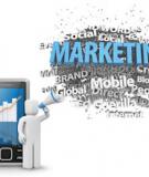 Quy trình thực hiện chiến dịch SMS Marketing trong chiến dịch Mobile Marketing tổng thể.